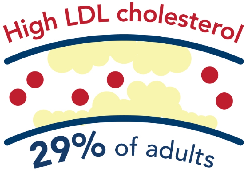 high LDL cholesterol infographic